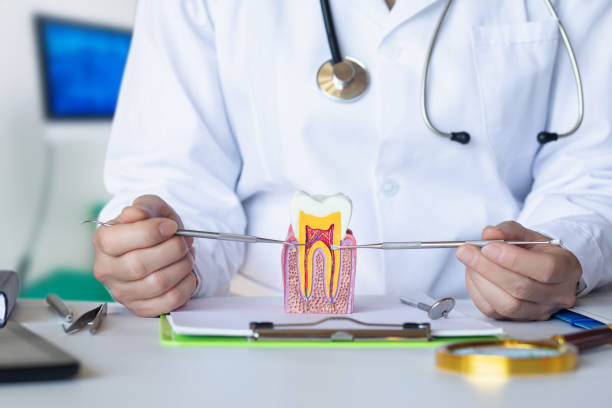 Best Emergency Dental Care for Sports Injuries in Lake Hiawatha, NJ